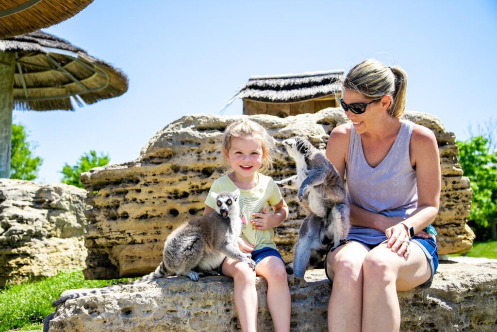 experience wildlife up close best child friendly zoos in america