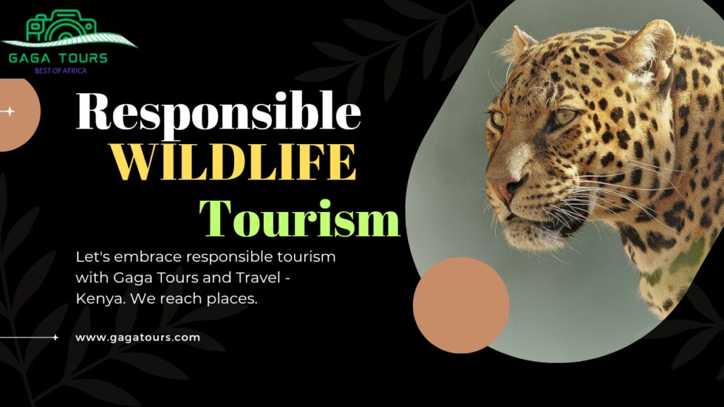 conservation and community the importance of ethical wildlife tourism