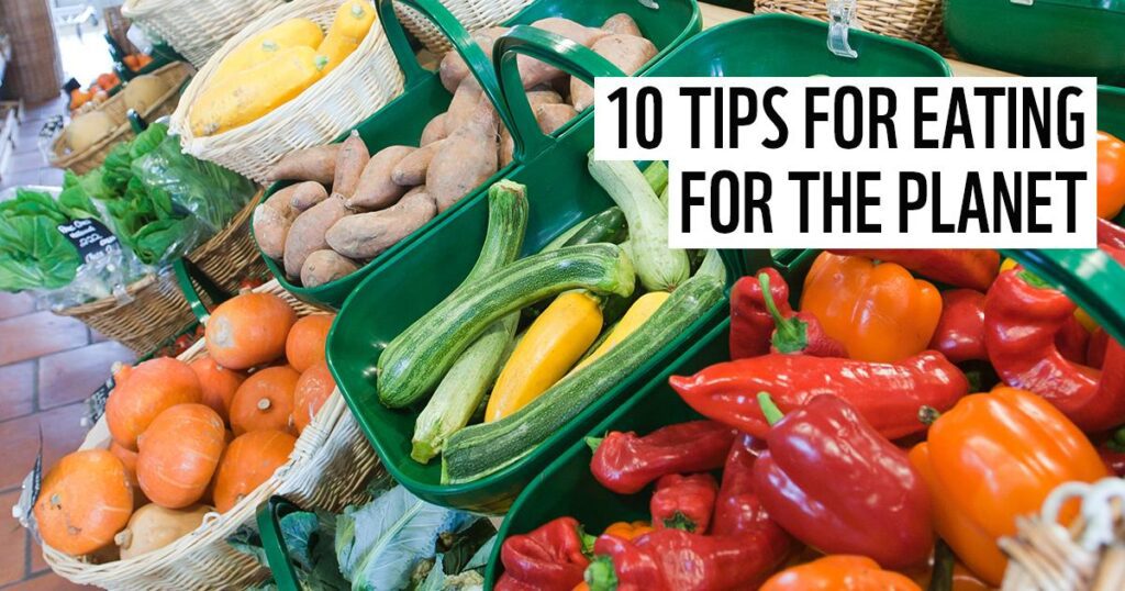 eating sustainably on the road tips for eco conscious foodies