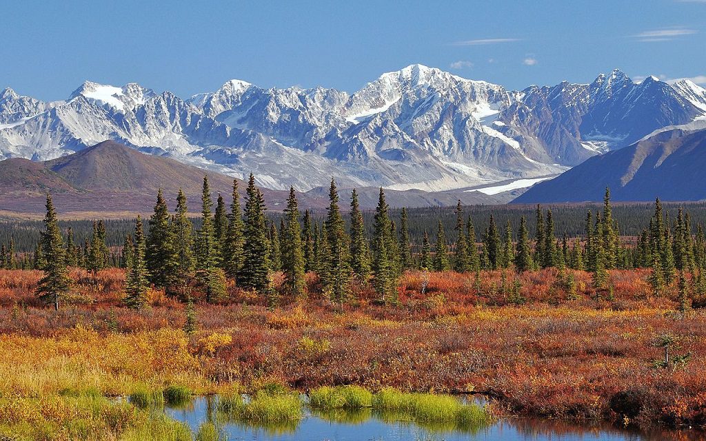 survival tips for camping in the wilderness of alaska