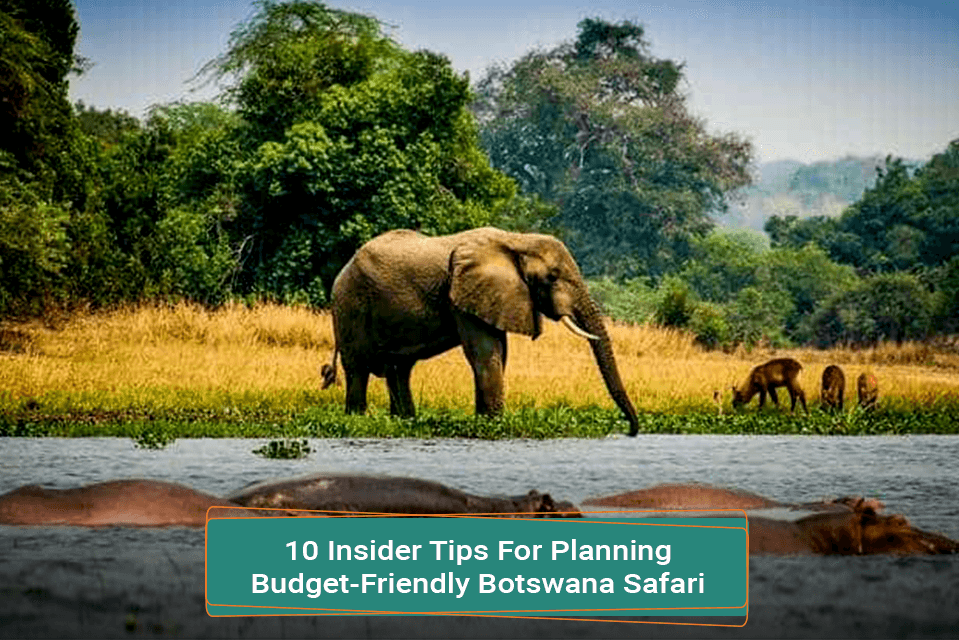 top tips for affordable backpacking in africa hostel picks and safari adventures