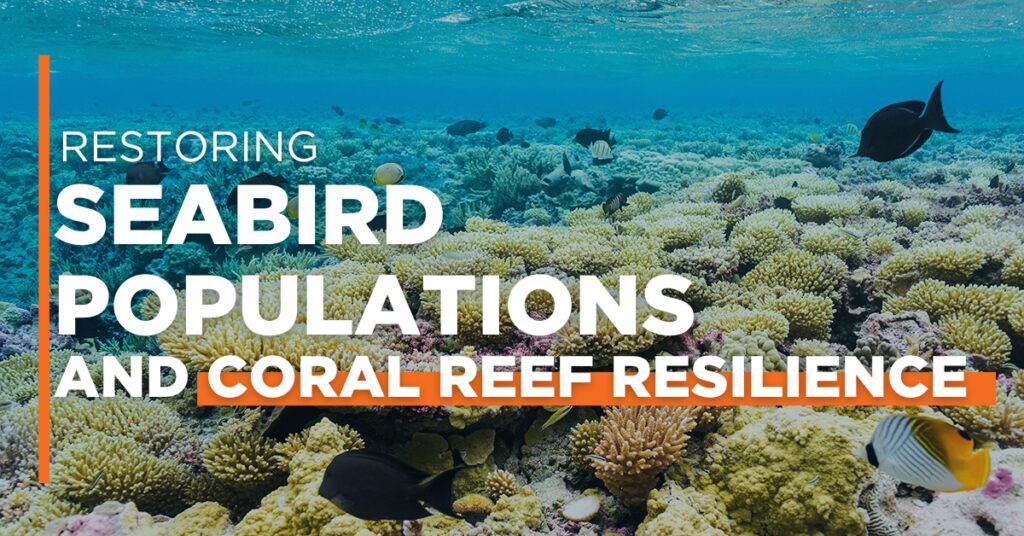 coral reefs in crisis innovative solutions for restoration and resilience